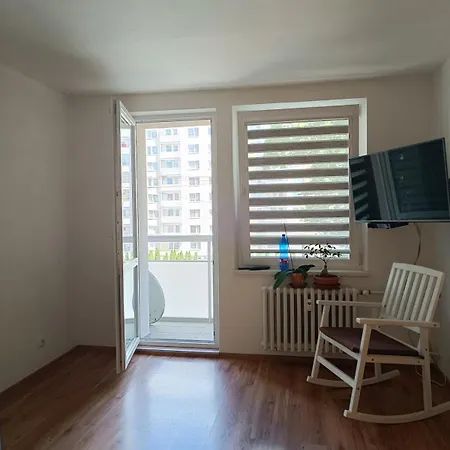 Spacious 3-room Apartment, Close To The Center, Station Appartement *