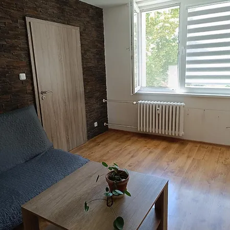 Spacious 3-room Apartment, Close To The Center, Station