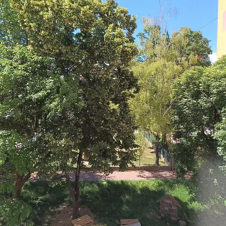 Spacious 3-room Apartment, Close To The Center, Station Appartement