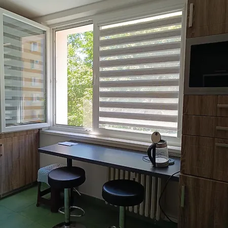 Spacious 3-room Apartment, Close To The Center, Station
