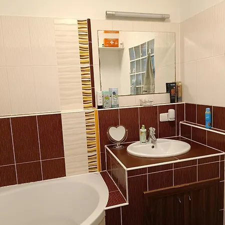 Spacious 3-room Apartment, Close To The Center, Station